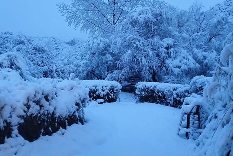 Potrerillos amaneció nevado este martes. Foto: Gentileza Jorge Ontiveros. Potrerillos amaneció nevado este martes. Foto: Gentileza Jorge Ontiveros.