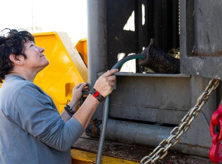 La cuidadora le da agua a la elefanta Kenya. La cuidadora le da agua a la elefanta Kenya.