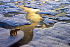 es un hecho: el artico paso su umbral hacia un nuevo tipo de clima