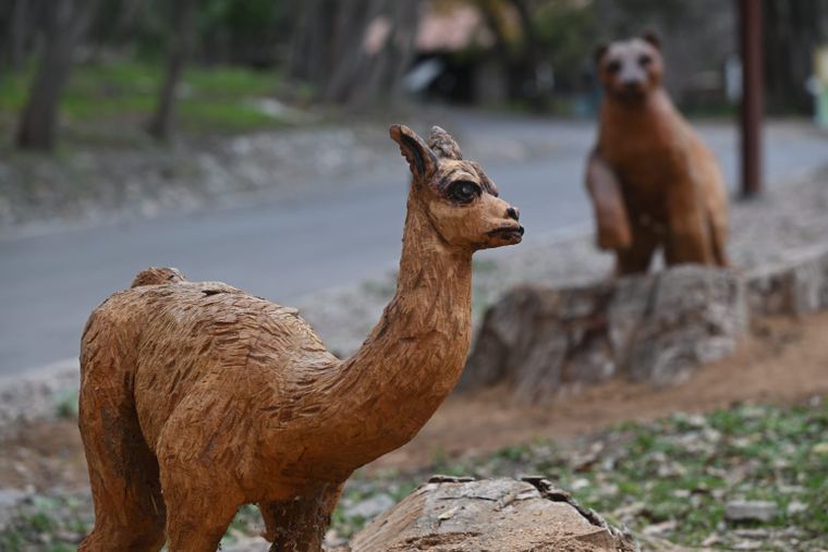 Luego de 10 años, así luce el Ecoparque de Mendoza