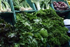 Por el temporal de la semana pasada los precios de las verduras subieron mas del doble Foto: ALF PONCE MERCADO / MDZ