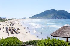 Costos y cobertura de la vacuna contra la fiebre amarilla para disfrutar las playas de Brasil.