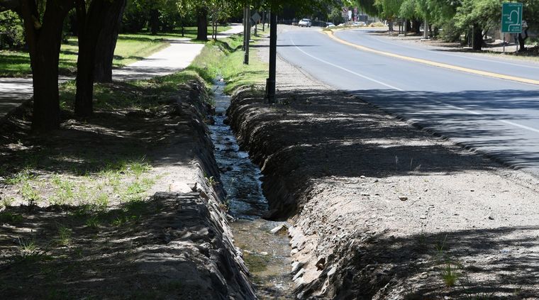 La zona del Parque en donde sucedió el hecho Foto: ALF PONCE MERCADO / MDZ