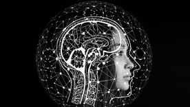 Inteligencias múltiples: una aproximación al tema.