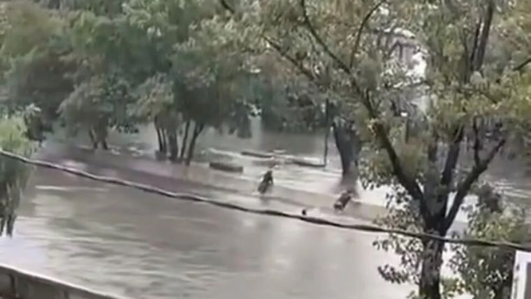 El momento en que Bryan ingresó al canal Foto: Noticias Argentinas