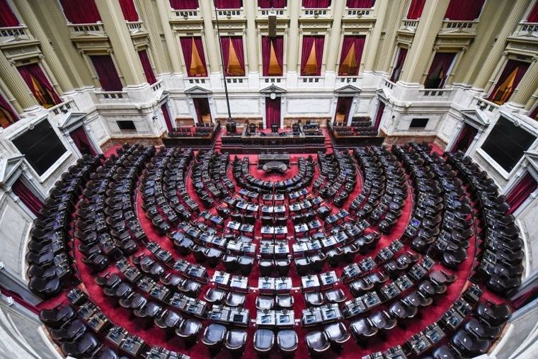 En las elecciones legislativas 2025 se renovará la mitad de la Cámara de Diputados y un tercio de la Cámara de Senadores.