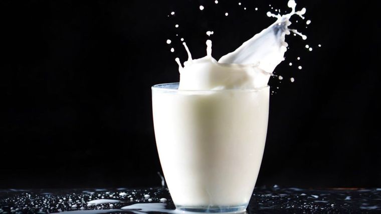 Puedes reemplazar la leche de vaca por esta alternativa más saludable. Foto: Shutterstock