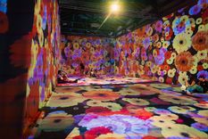 Van Gogh y los maestros de la pintura europea se puede disfrutar en el Espacio Arizu.