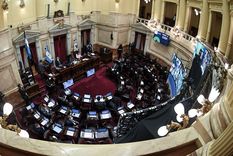 Foto: Prensa Senado