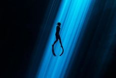 Las increíbles postales que permite apreciar el mundo subacuático mexicano. Foto: Alex St-Jean