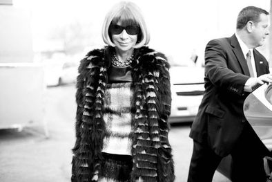 MDZol | 507764.jpg