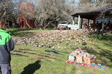 Los allanamientos realizados en Buenos Aires y en Santiago del Estero contra la tenencia ilegal de fauna silvestre Foto: NA