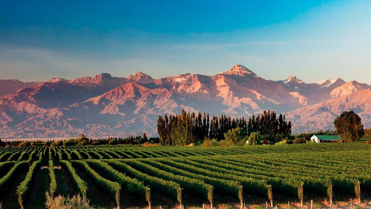 Mendoza, dentro de los destinos top a nivel mundial. Mendoza, dentro de los destinos top a nivel mundial.