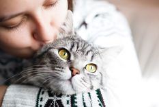 Foto: SHUTTERSTOCK