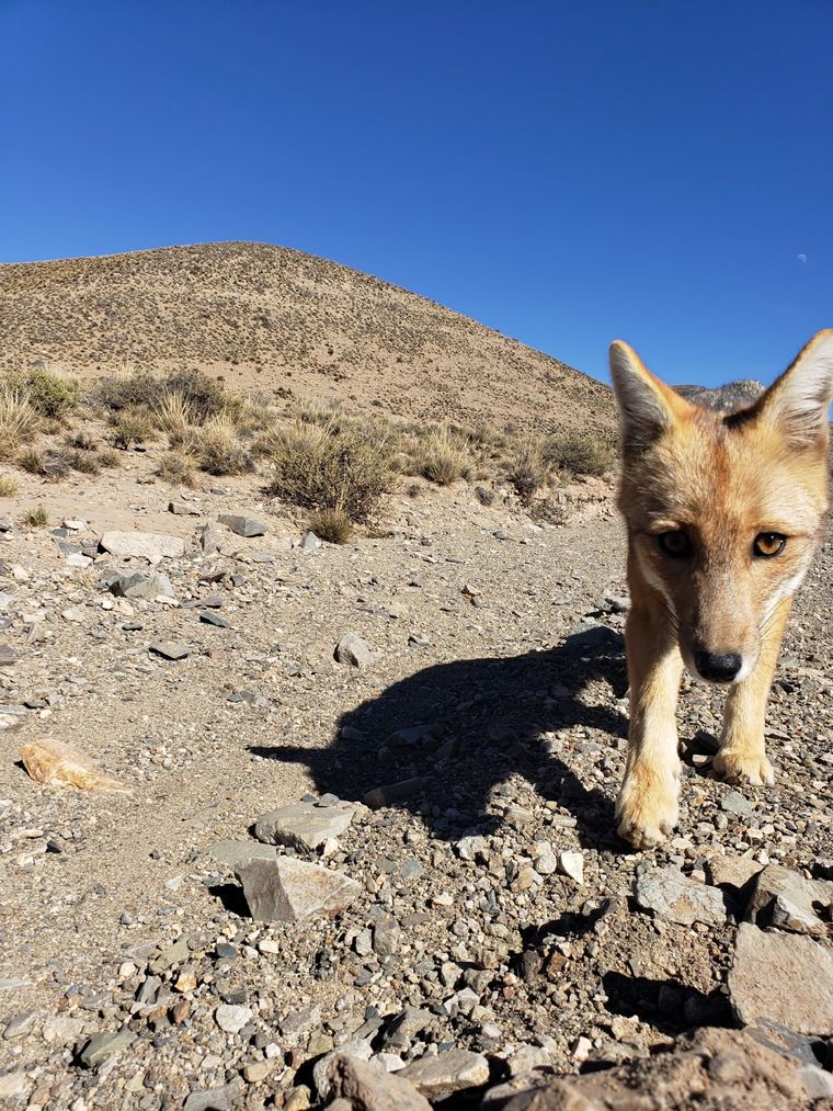 Foto: Gobierno de Mendoza