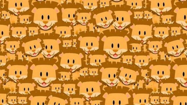 Acertijo visual, reto visual, mono Pinterest Foto: Archivo MDZ