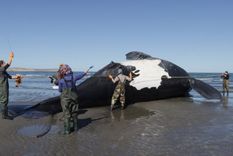 Foto: Noticias Argentinas