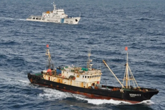 Pese a la pérdida de rentabilidad, la industria pesquera termina el año con producción en alza