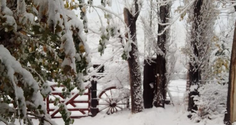 Valle del Sol, Potrerillos Foto: Gentileza