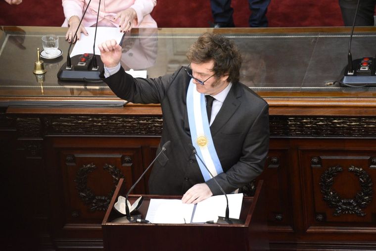 Presidente Javier  Milei. Foto: Juan Mateo Aberastain/MDZ