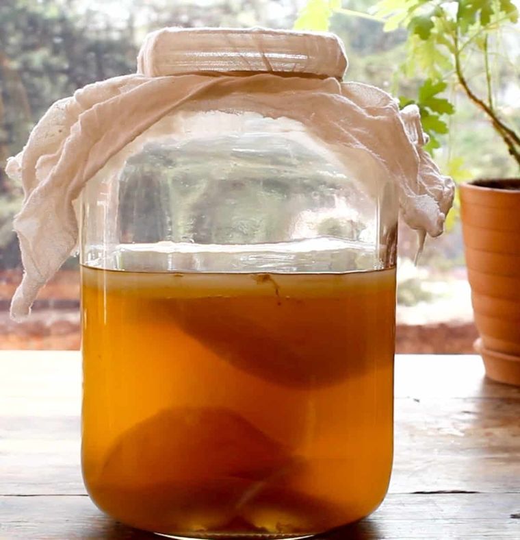 El té de kombucha es considerado una de las bebidas más saludables. Foto: Shutterstock