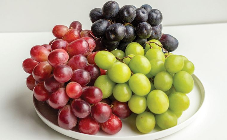 Chile enfrenta una baja del 7% en sus exportaciones de uvas de mesa por la sustitución de variedades tradicionales