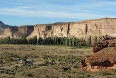 Los Altares, un pueblo escondido en la Patagonia chubutense, sorprende con sus murallas naturales y el río Chubut que lo abraza. &nbsp;