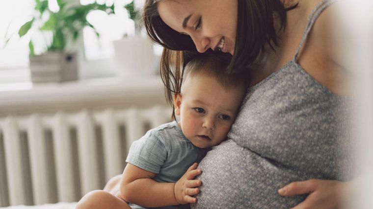 La investigación también muestra que los cambios en las redes neuronales son fundamentales para enfrentar la maternidad.
