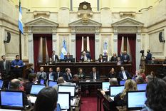 Victoria Villarruel no estuvo al mando de la sesión, ya que Milei está en Estados Unidos Foto: Prensa Senado