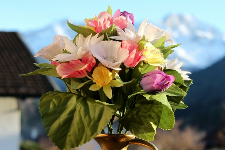 Las flores brillarán con este truco casero Foto: Pixabay - pixabay.com