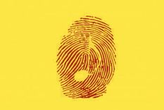 Test de personalidad