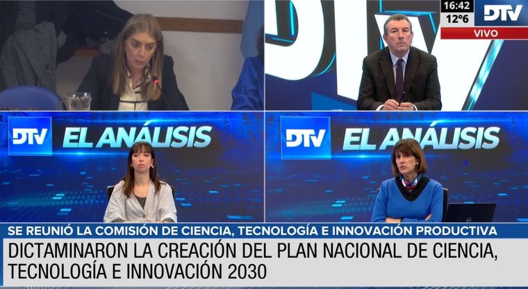 Foto: Captura de video - Diputados