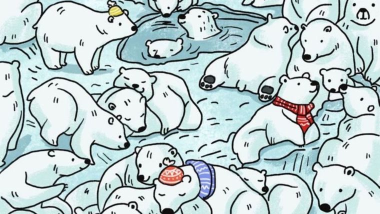 ACERTIJO VISUAL ACERTIJO VISUAL, RETO VISUAL, FOCA Foto: ARCHIVO