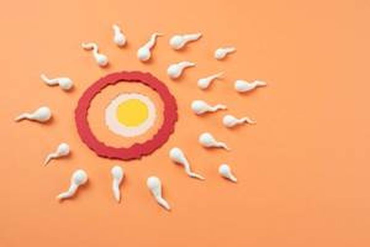 Llevamos una alteración genética que podría transmitirse si coincidimos con otra persona portadora de variantes en el mismo gen. Llevamos una alteración genética que podría transmitirse si coincidimos con otra persona portadora de variantes en el mismo gen.