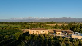 La propiedad familiar y la bodega están conectadas bajo tierra.  La propiedad familiar y la bodega están conectadas bajo tierra.