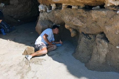 Dos turistas encontraron en la costa de Santa Clara del Mar los restos fósiles de un megaterio, un enorme perezoso prehistórico que habitó la región hace más de 400.000 años. Fotos: Instagram @museolorenzoscagliamgp Dos turistas encontraron en la costa de Santa Clara del Mar los restos fósiles de un megaterio, un enorme perezoso prehistórico que habitó la región hace más de 400.000 años. Fotos: Instagram @museolorenzoscagliamgp