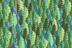 Acertijo visual, reto visual, dragón