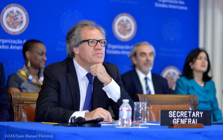 Foto: Prensa