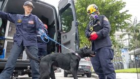 La unidad del Cuerpo de Bomberos de Miami-Dade cuenta con 9 equipos de búsqueda canina. Foto: EPA