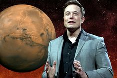 Elon Musk. Foto: OfficeChai.