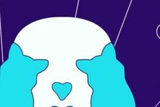 ACERTIJO VISUAL ACERTIJO VISUAL, RETO VISUAL, CISNE Foto: ARCHIVO