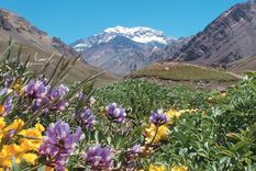 cyber monday: mendoza, el segundo destino local mas demandado en paquetes de viaje