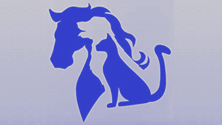 TEST DE PERSONALIDAD