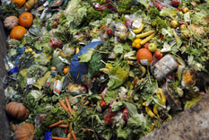 En la Ciudad de Buenos Aires se desperdician casi 3 kilos de comida por habitante. Foto: Agencia EFE