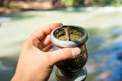 MDZol | mate