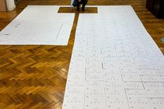 el contundente video de federico sturzenegger contra los diputados que protegen la casta