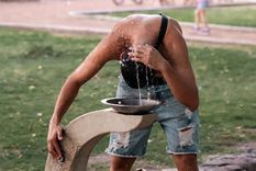 Foto: Santiago Tagua/MDZ