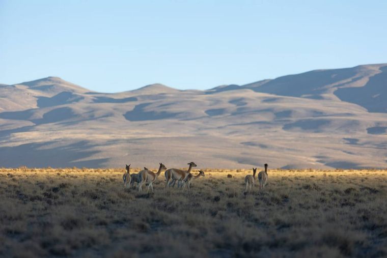 Laguna Blanca, un poblado ubicado en la provincia de Catamarca, competirá en representación de Argentina en el certamen Best Tourism Villages, que impulsa la OIT Foto: Twitter Ministerio de Turismo y Deportes