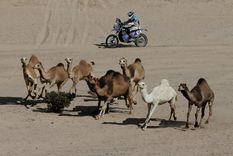 las mejores fotos de una semana intensa y emocionante