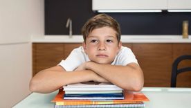 Desde 2016 las pruebas Aprender se aplican todos los años